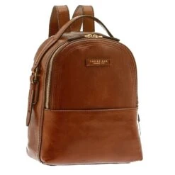 The Bridge Pearl District Rugzak Bruin